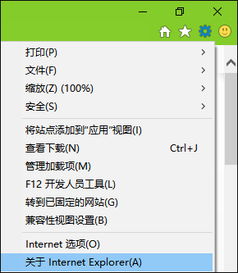 win10系统下如何看ie版本号