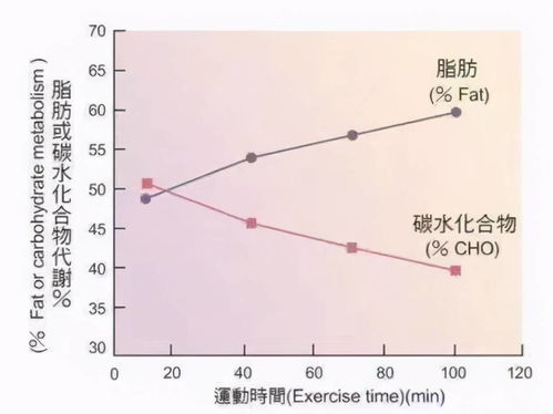 想要顺利变瘦,这3个减肥 迷思 ,你一定要搞懂