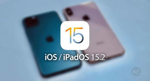 iOS 15.2 正式版发布,等了三年的功能正式上线