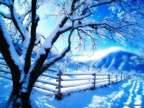 雪融化了没关系没有雪的风景依然美丽 米粒分享网 Mi6fx Com