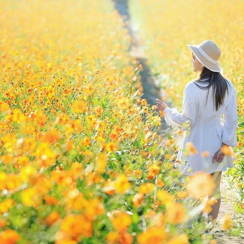 花树花海人像照片,咋拍摄自然优雅 来学这5个人像摄影技巧吧