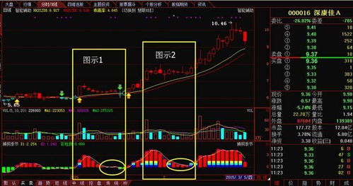 股票交易中显示的"；b"；和"；s"；分别表示什么意思