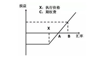 期权真的可以变现吗，有了解的吗