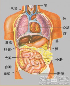 上海哪家医院可以做羊水穿刺