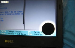 dell 显示器 漏夜 原因是老化质量问题还是因为 受潮进水 或 磕着碰着 了 怎样鉴别 