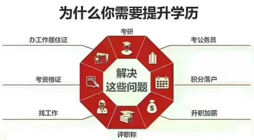 徐闻人新福利,最后一天 报读大专 本科,可奖励三年学费全免,不限户籍 