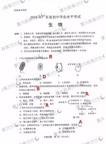 生地会考试卷 答案来了 快看看你能考多少分 快看看你能考多少分 