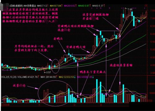 股票缩量怎么看