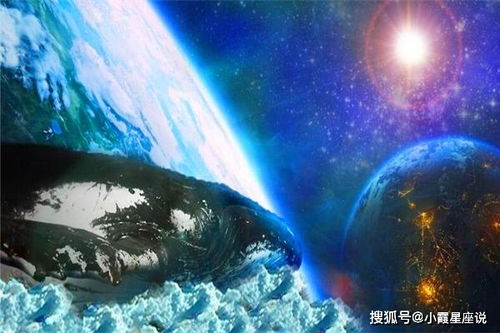 内心善良到认不出好人坏人, 没错就是这些星座