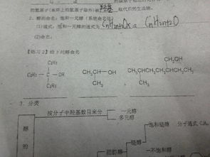 练习2 三个醇的命名 