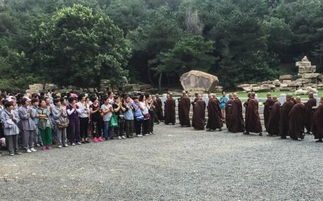 风波未平的大悲寺住持 从没把钱财看成资源