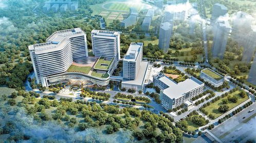 总投资125.4亿元 深圳光明今年首批12个新开工项目集中启动