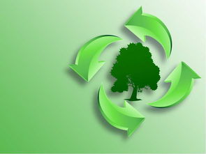 环保公益海报设计毕业论文,关于环保的毕业论文题目,环保设计毕业论文