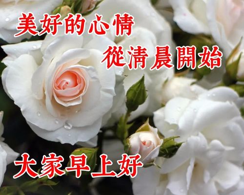 早上好问候图片带字动态表情,早上好图片问候祝福语句子