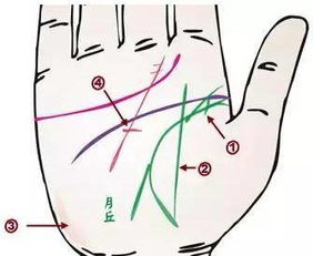 手诊 24种手诊图揭示身心健康问题