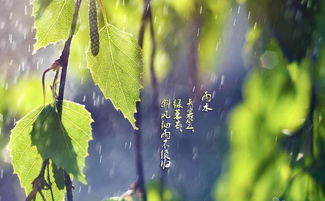 雨极为什么会多雨