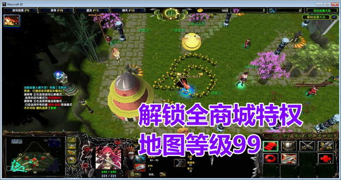 魔兽修改地图 魔兽无CD地图 魔兽VIP破解 改图破解定制 