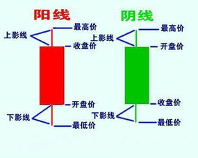 K线的看盘价，为什么标示的是收盘价呢？