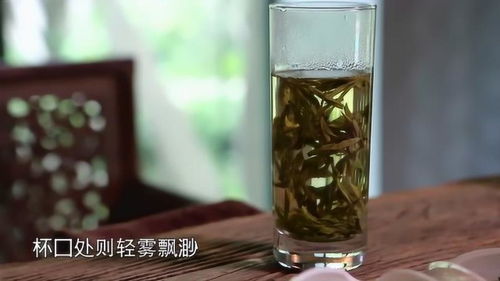 禅定杯适合喝什么茶