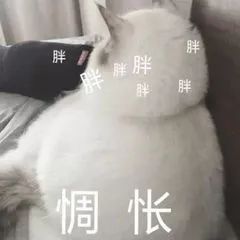 易胖职业清单,快看你有没有躺枪