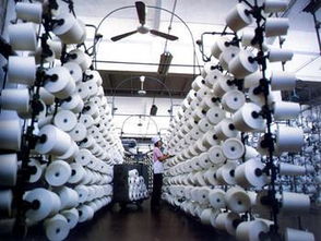 梦见纺织厂 