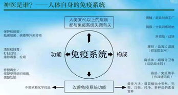 爱自己,穿越情绪,疗愈自己,让生命充满光和爱 生命觉醒系列第10课