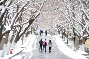 青岛到底什么时候下雪