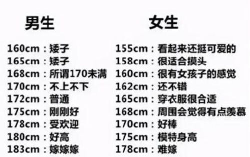 大学男生身高多少算 矮 女学生说出内心想法 1.8米不是标准