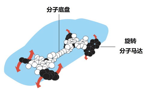 用笼络造句子—妒忌文言词？