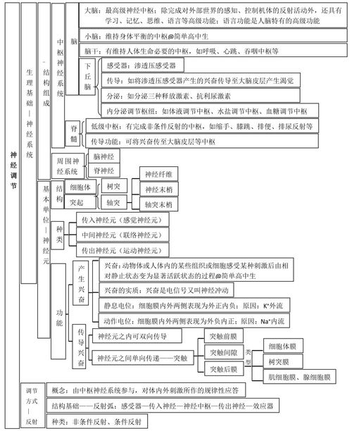 高中生物总复习知识点