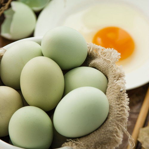从江林下绿壳鸡蛋 纯天然高营养 一日三餐的精彩点缀