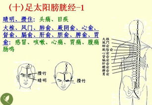 老中医秘传的经络五行图,一人收藏,全家受益