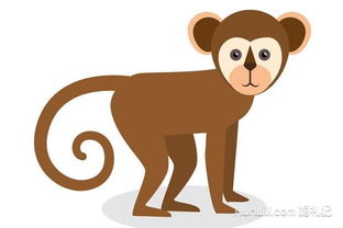 属猴与什么相配 属猴人的姻缘分析 