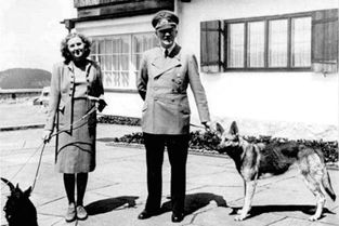 希特勒深爱的情人和宠物,最忠于他的一人一狗,为何都服毒而亡