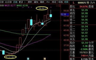 信息安全那个股排龙头第一位