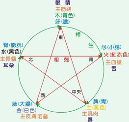 中医里讲五脏有五色上华于面,比如说白色是说肺部,是说肺功能有异常啊还是说肺功能比别人要好些 