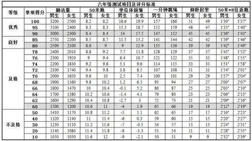 你对小学生体测知道多少 快进来了解一下吧