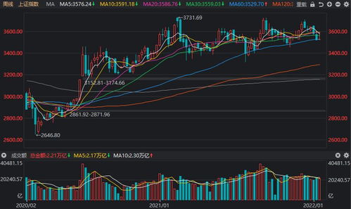 怎样看逆回购股票的最新相关信息