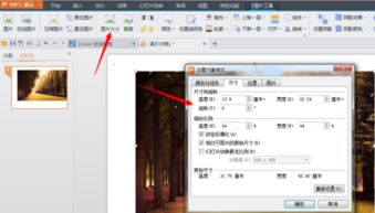 PPT图片设置,如何在wpsPPT上改变图片尺寸呢