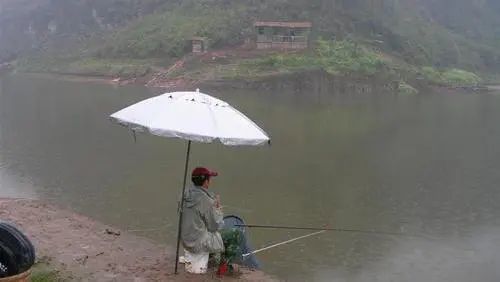 雨天钓鱼没收获 抓住这几点,钓鱼爆护很轻松