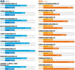 云南省有多少家上市公司？