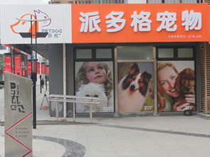 广西柳州宠物店如何装修最好 