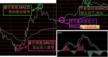 我是个大学生，想炒股，资金不是很充足，不想玩那么大，能赚点就好~具体应该怎么进行啊？