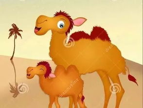 爱美的小骆驼(爱美的小骆驼绘本图片)