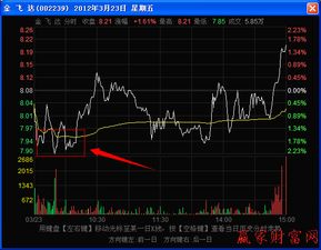 如何从分时走势图解读庄家的操盘意图