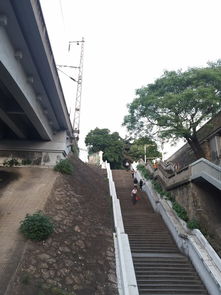 武汉市江夏区一日游