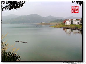 湖北武汉新洲道观河风景旅游管理处天气预报
