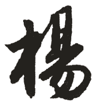 新华字典 杨,在线查字 杨 字意解释,五笔,笔画,拼音,字意五行 