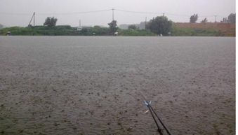 请教，暴雨之后什么时候最好钓鱼呢？