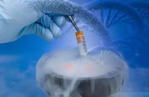 婴儿胚胎被冷冻 27年的胚胎冷冻被唤醒